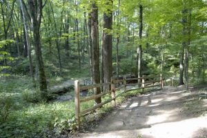 trail-300x200